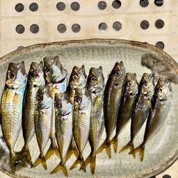アジ