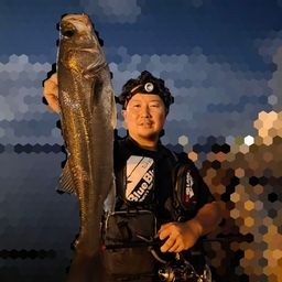 シーバス