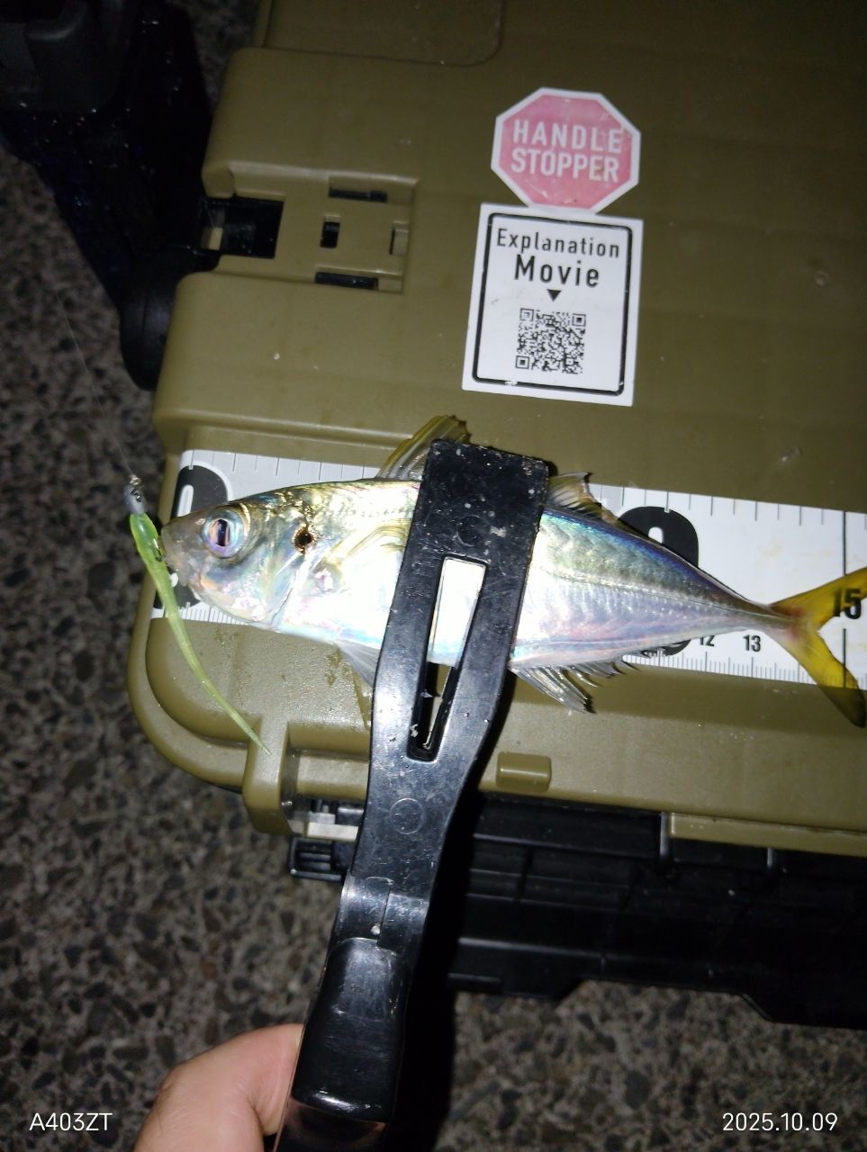 ヤマガブランクス ブルーカレント JH-Special 58 TZ YAMAGA Blanks(ヤマガブランクス) Blue Current(ブルーカレント