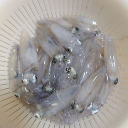 マメイカ