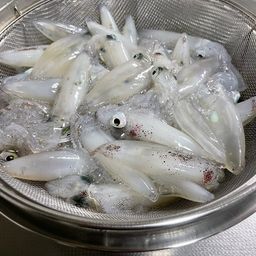 マメイカ