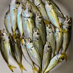 アジ