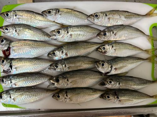 表浜名湖