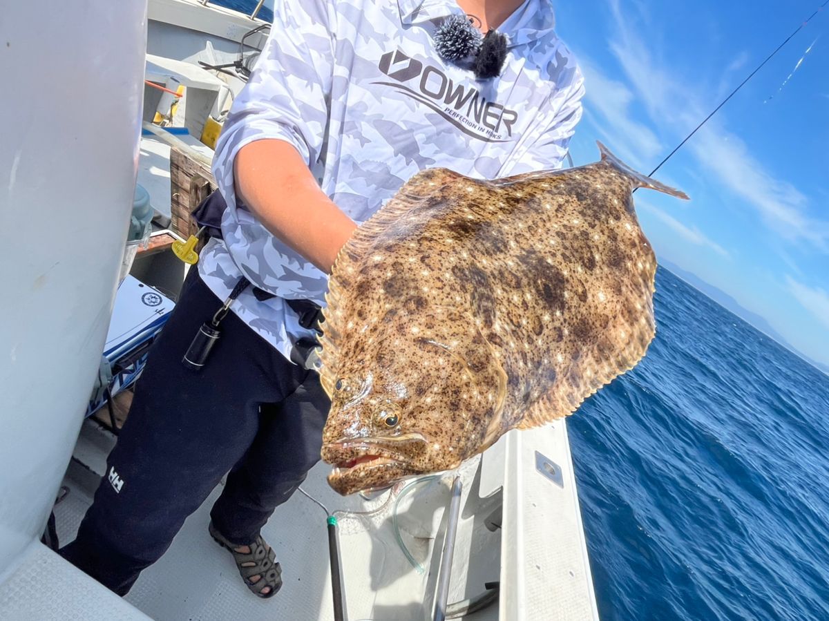 WH〜さんの釣果 3枚目の画像