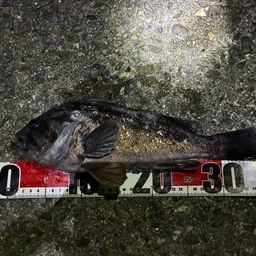 クロソイ