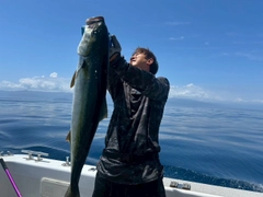 ヒラマサの釣果