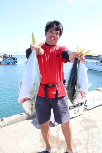 ハマチの釣果