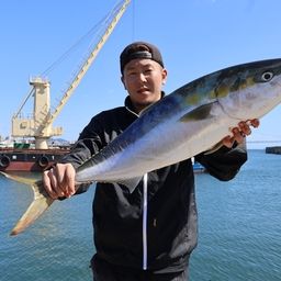 ブリ