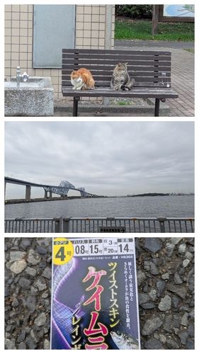 若洲海浜公園海釣り施設