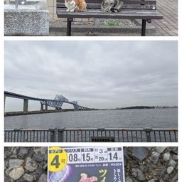 アジ