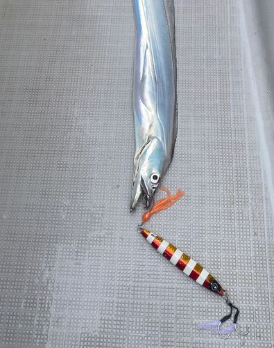 大阪湾
