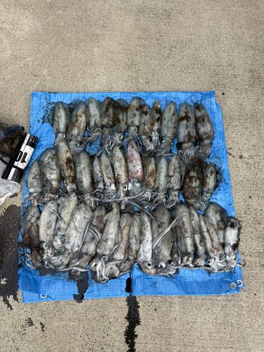竜飛漁港