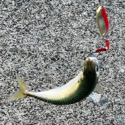 サバ