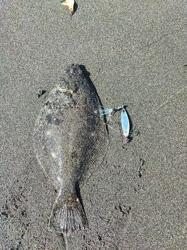 鵠沼海岸