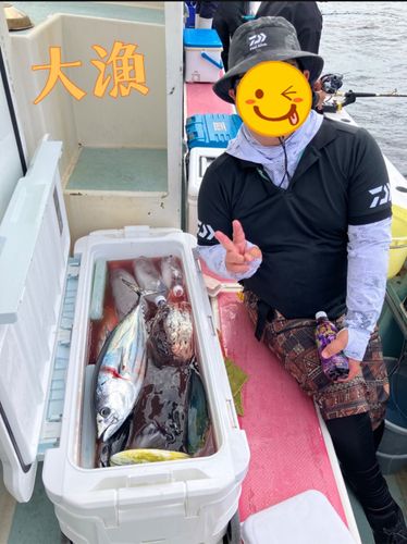 カツオの釣果