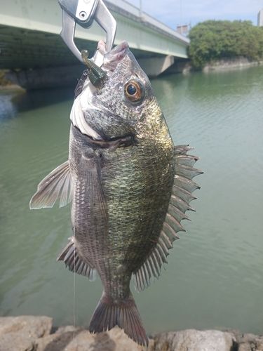 沖縄本島