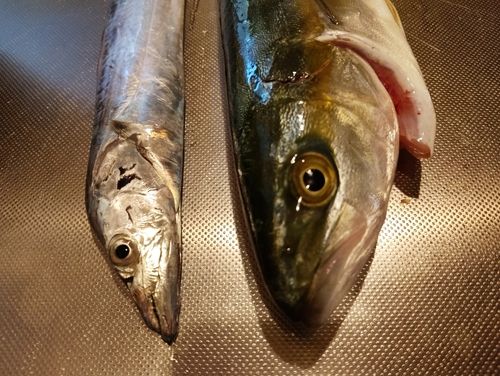 日本海