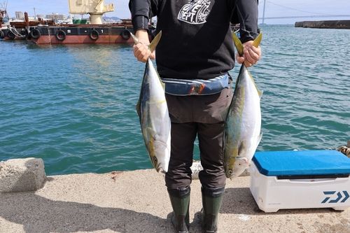 メジロの釣果