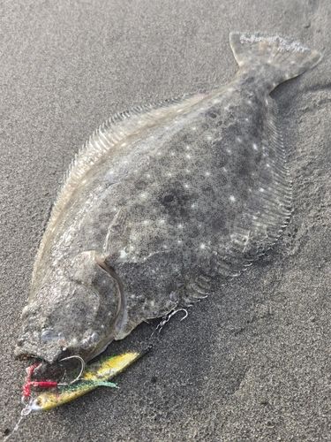 大倉戸海岸