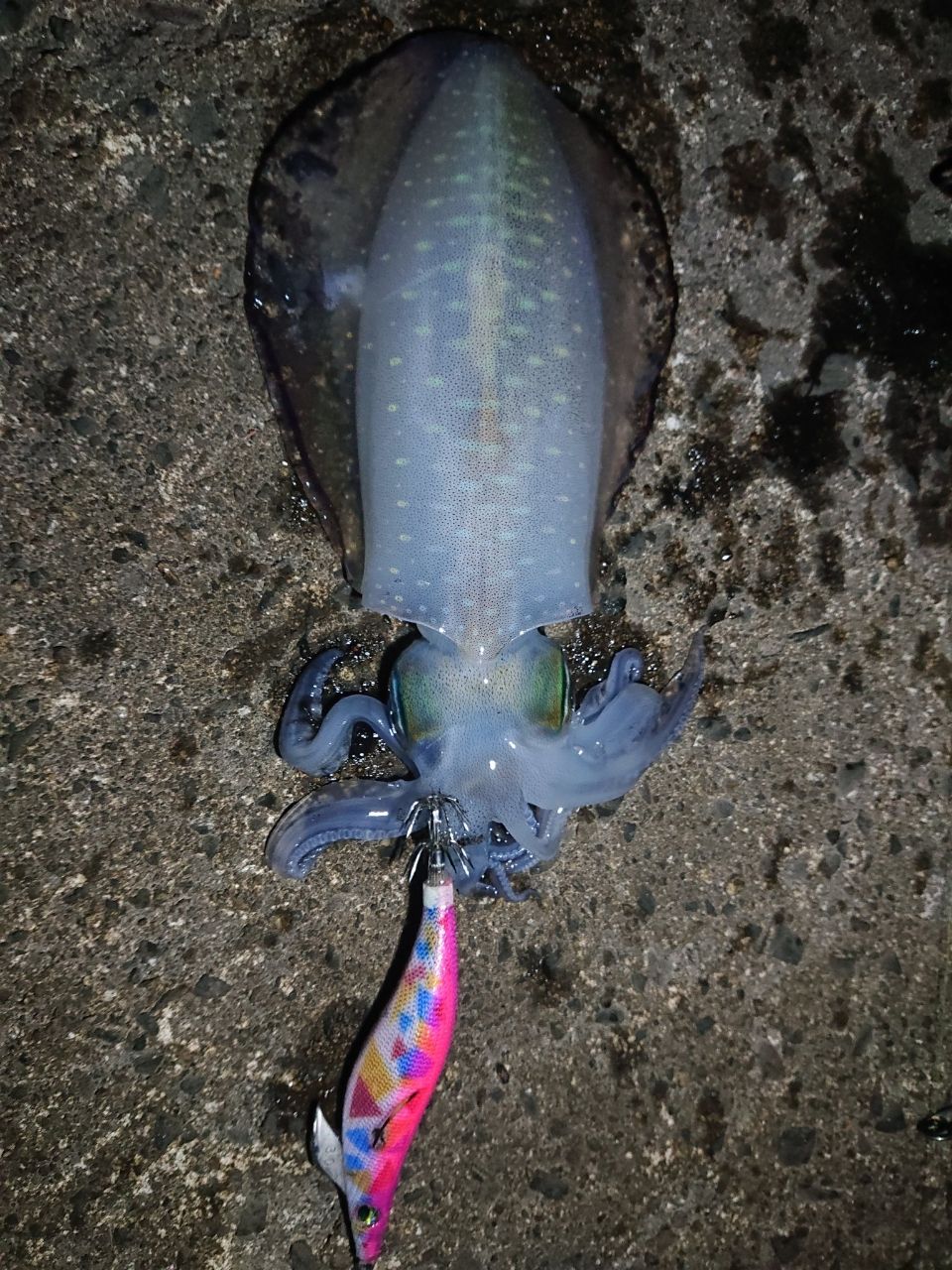 アシチン