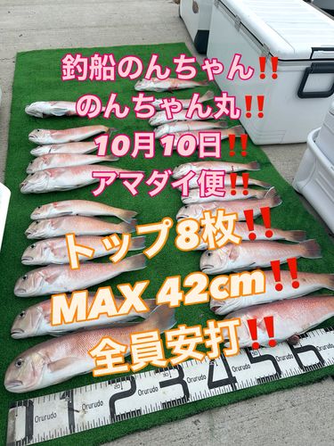 シロアマダイの釣果