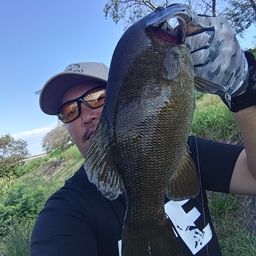 スモールマウスバス