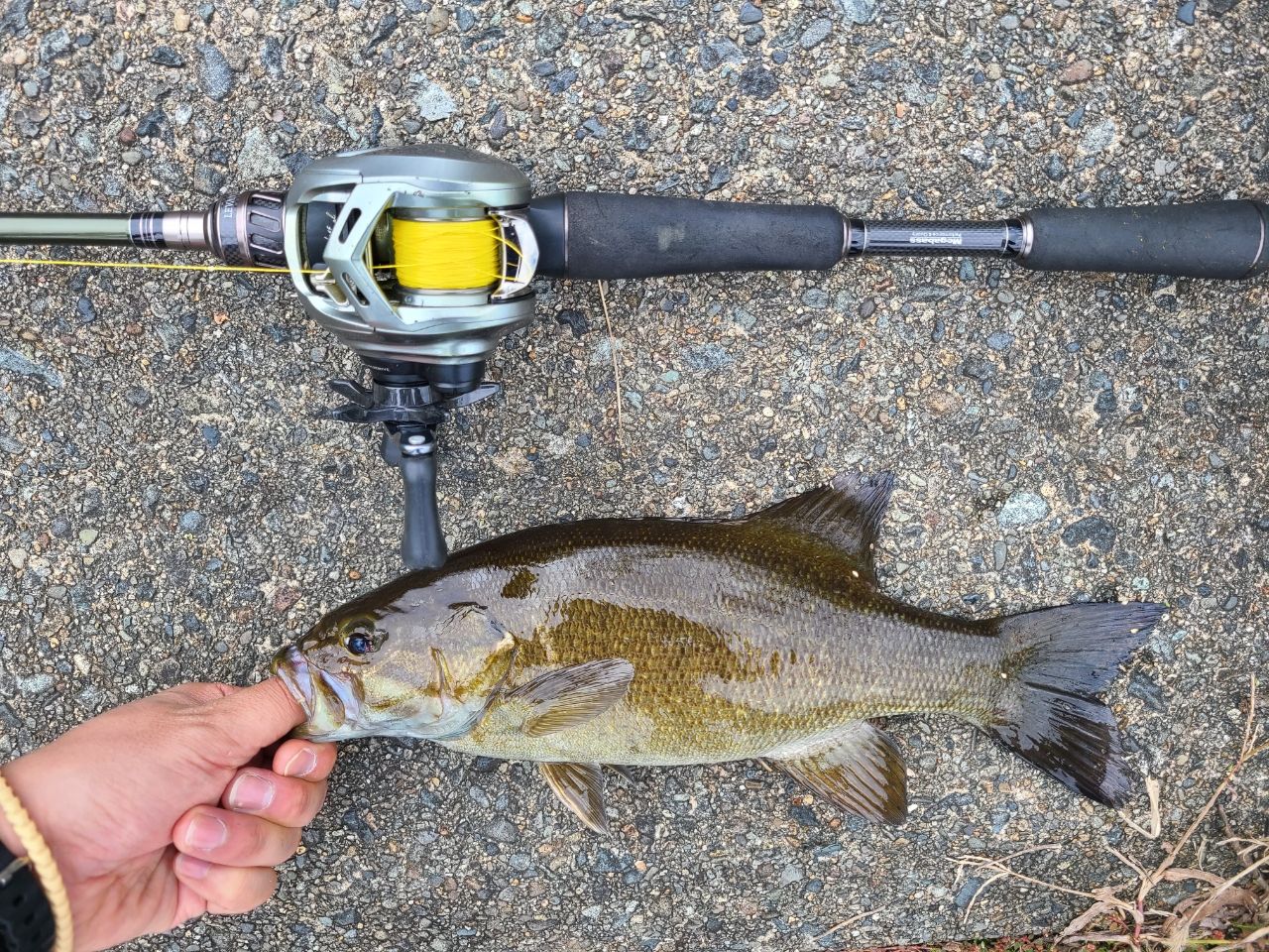 Megabass レヴァンテ JP F2-69LVS 2Pの最安値・インプレ・釣果 | 本音