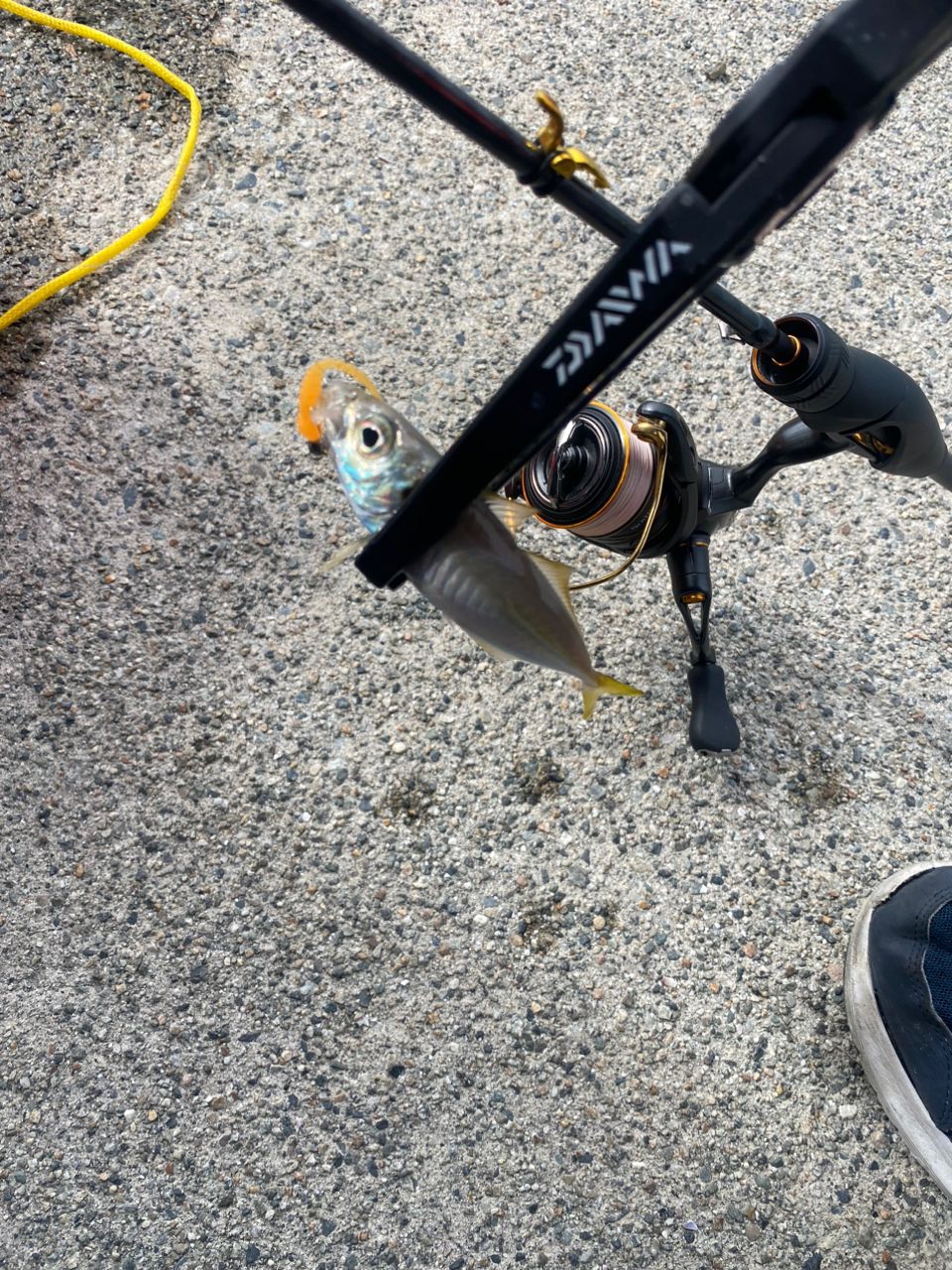 Soare ソアレXR S60SUL-S アジング 2021年秋の新作！シマノ ソアレXR S60SUL-Sの実釣ファースト