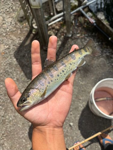 フィッシングガーデン つろーぜ