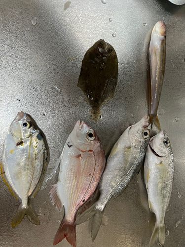 静岡県東部