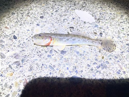 石狩湾新港