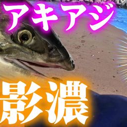 サケ