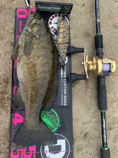 スモールマウスバスの釣果