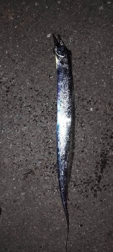 金沢水際線緑地（福浦岸壁）