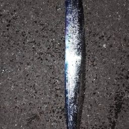 タチウオ