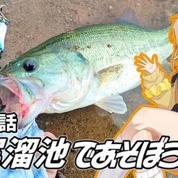 ブラックバス