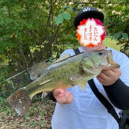 ブラックバス