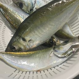 アジ
