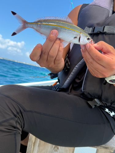 釣果
