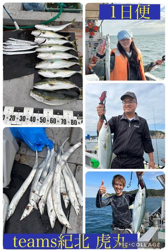 メジロの釣果