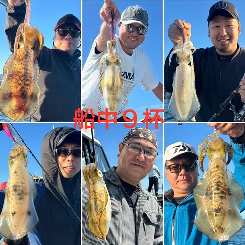 アオリイカの釣果