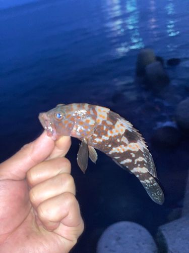 霞釣り公園