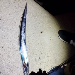 タチウオ