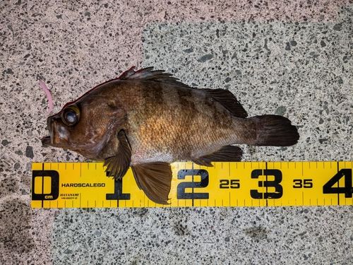 小名浜港アクアマリンふくしま周辺