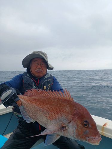 伊勢湾