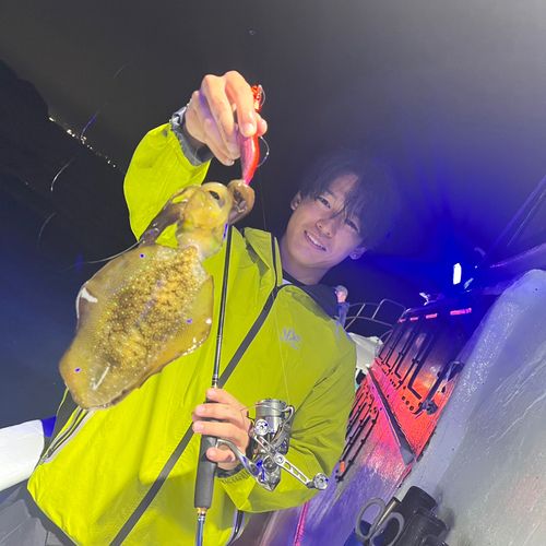 大阪湾