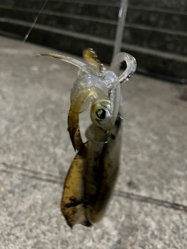 垂水漁港