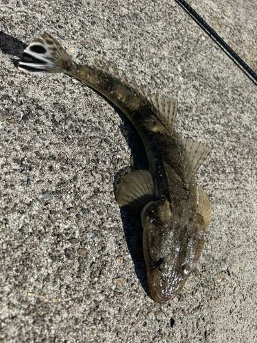 七尾北湾