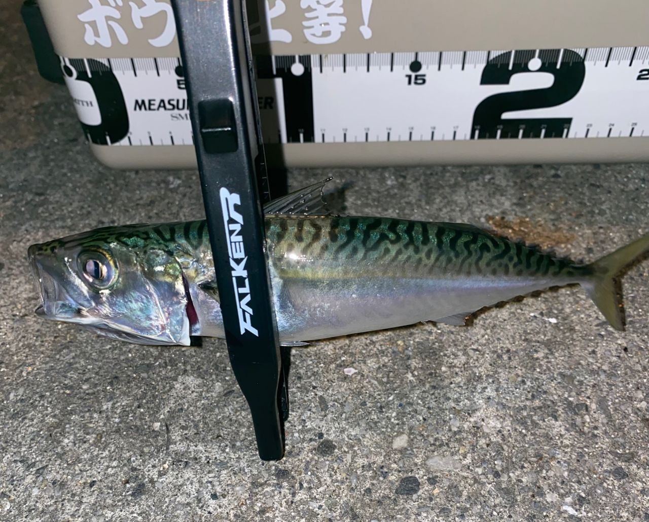 鯵道5G AD5-S582L/AJI メジャークラフト 鯵道 5G AD5-S582L/AJI (ロッド・釣竿) 価格