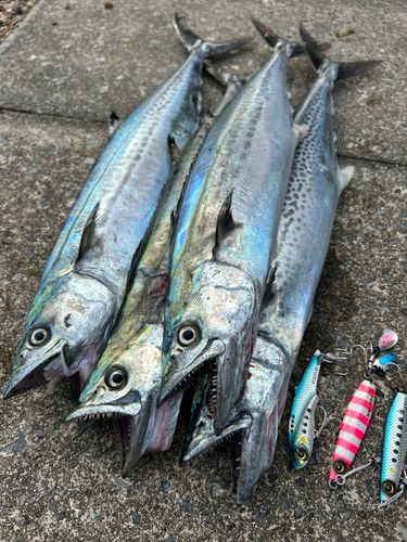 貝塚人工島